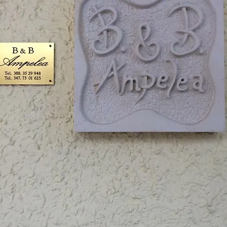 Ampelea *